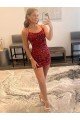 Spaghetti Straps Criss Cross Back Sleeveless Short Velvet Sequin Homecoming Dress / Prom Dress Bristol